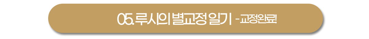 루시일기로 이동!